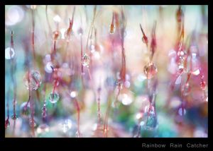 Rainbow Rain Catcher.jpg